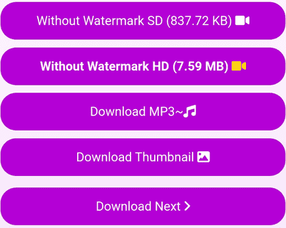 TikTok downloader options illustration