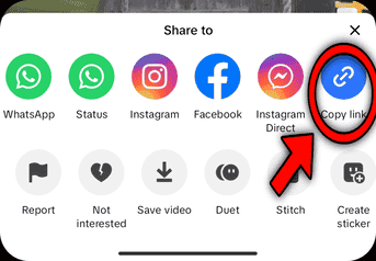 TikTok copy link icon