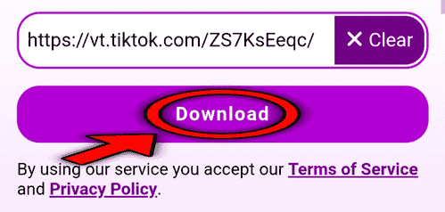  Download Button 