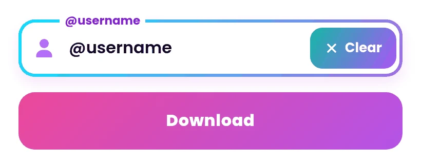 Paste the username into the tanpawm highlight downloader