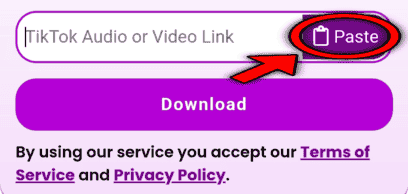 Paste Link