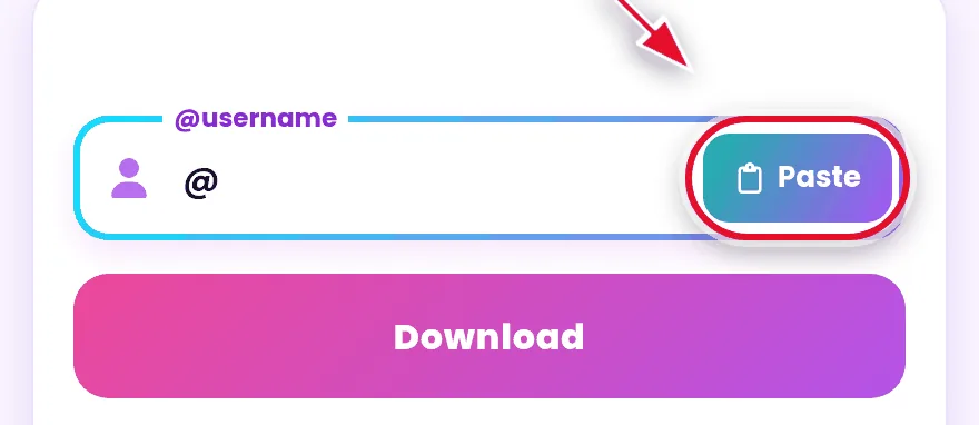 Enter a TikTok username in the profile viewer