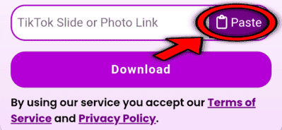 Paste Link