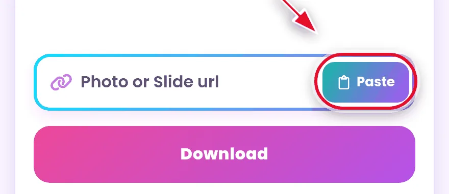 Paste the TikTok link into the tanpawm photo downloader