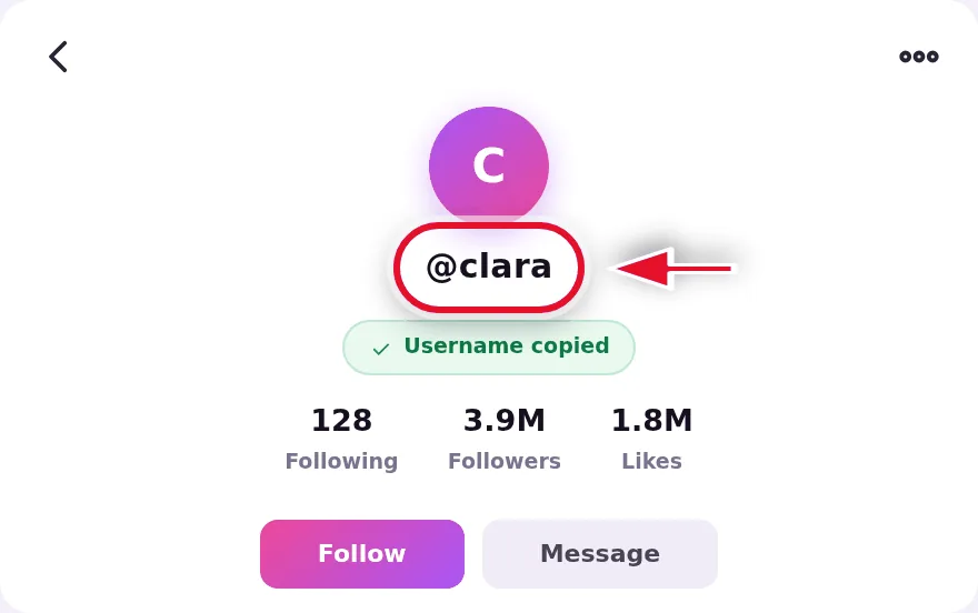 Copy the TikTok username to start the story download tiktok process