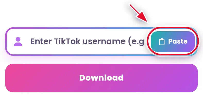 Paste the username into the tanpawm tiktok story viewer